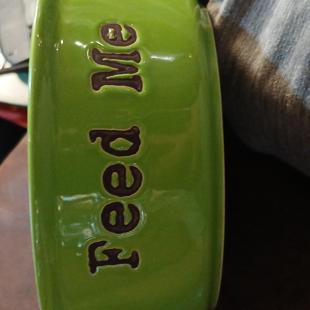 Vibrant life ceramic dog bowl,lime green